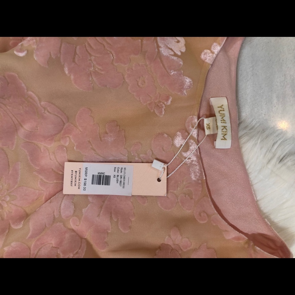 Yumi Kim Bellflower Dress in Blush - Picture 12 of 12